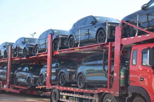 206輛商品車從阿拉山口口岸出口至中亞兩國(guó)