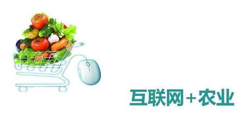 互聯(lián)網(wǎng)賦能農(nóng)業(yè) 產(chǎn)銷(xiāo)新生態(tài)與未來(lái)展望